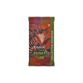 The Brothers' War - Collector Booster Pack | Magic the Gathering